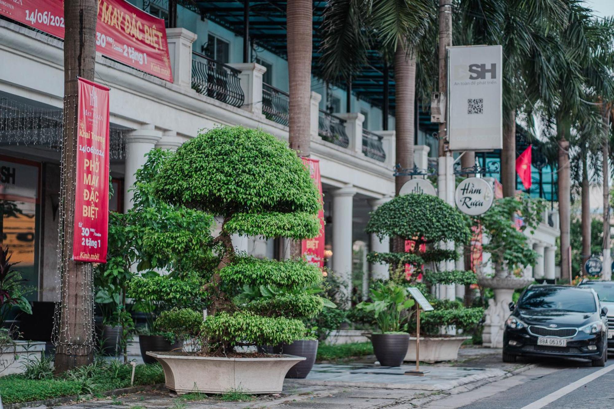 May Plaza Hotel Thái Nguyên المظهر الخارجي الصورة